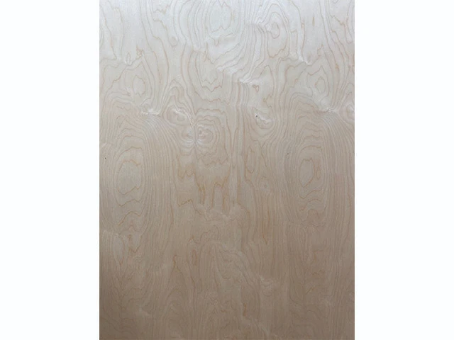 Birch
